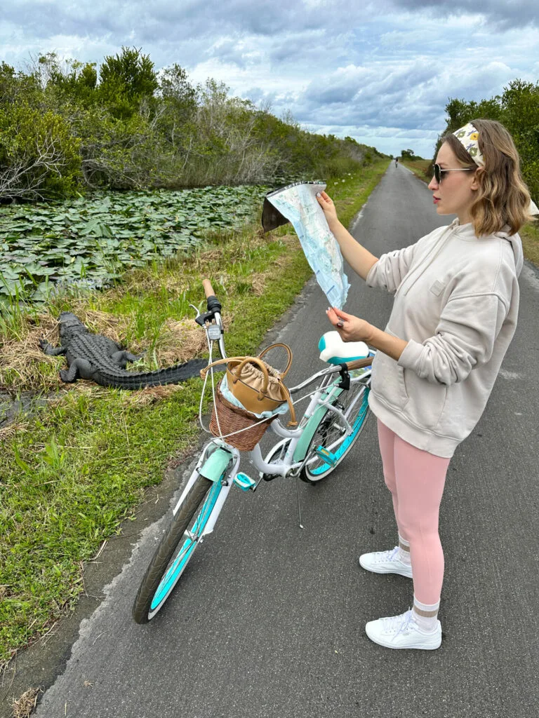Shark Valley Everglades National Park on a bicycle