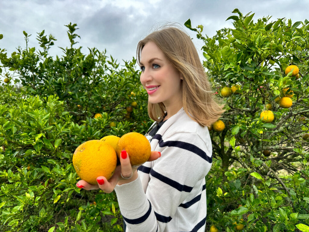 Where to u pick oranges Florida