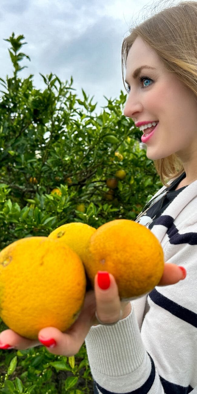 Where to u pick oranges Florida