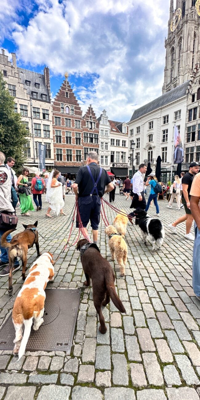 A Day in Antwerp, Belgium: Top Sights and Local Tips