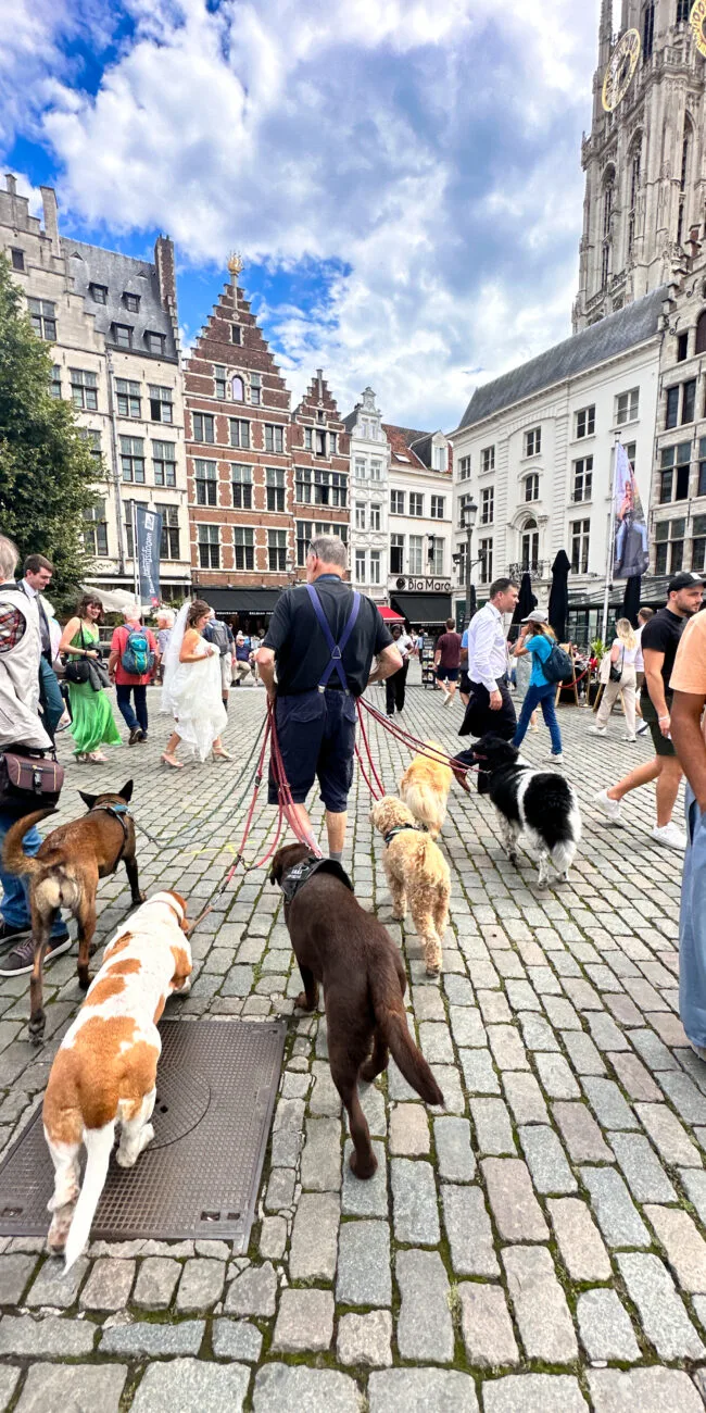 A Day in Antwerp, Belgium: Top Sights and Local Tips