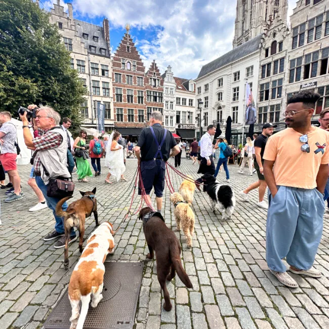 A Day in Antwerp, Belgium: Top Sights and Local Tips