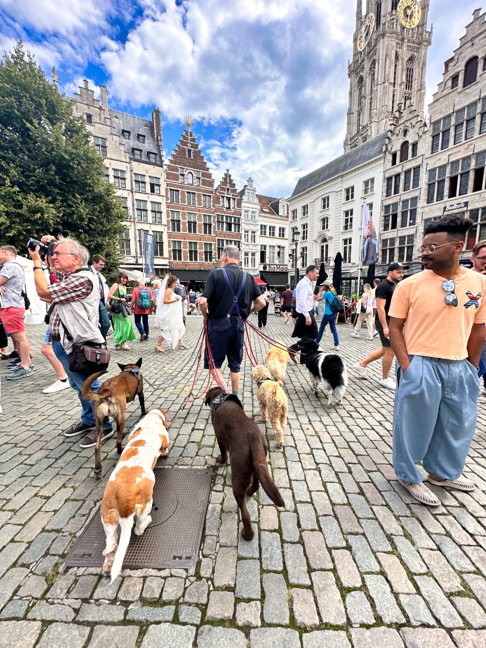 A Day in Antwerp, Belgium: Top Sights and Local Tips