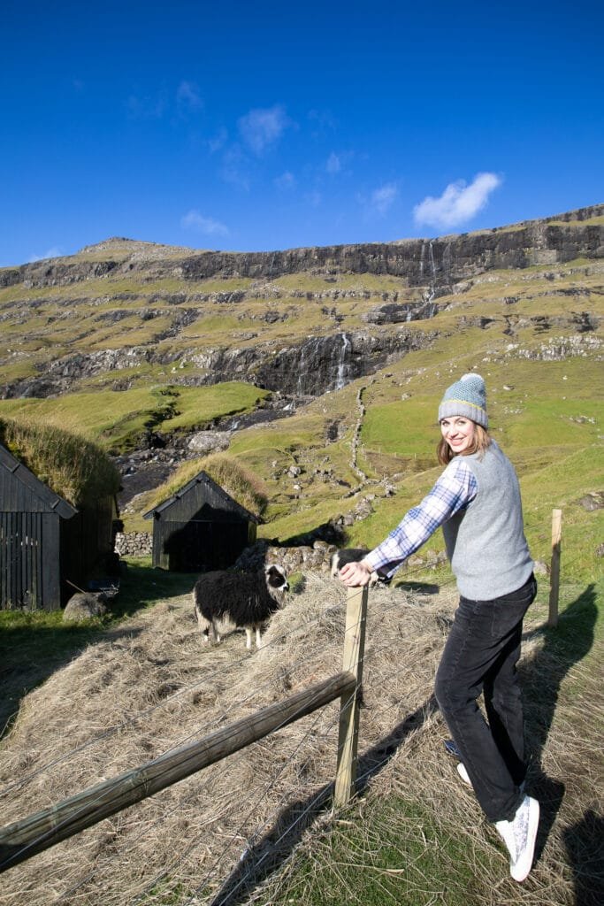 Faroe Islands Sheep in Idyllic Locations