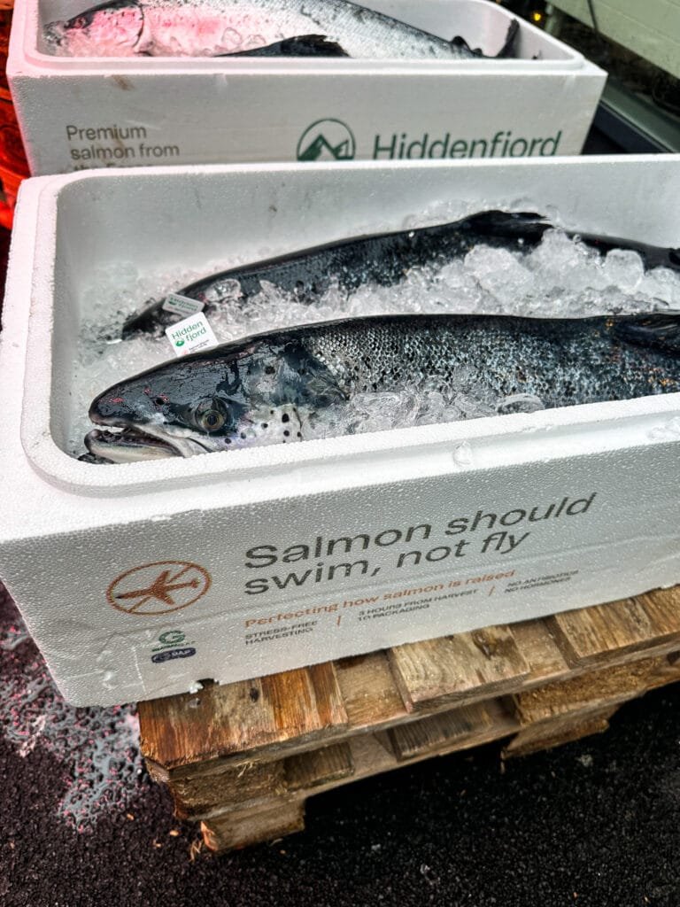 Faroe Islands salmon