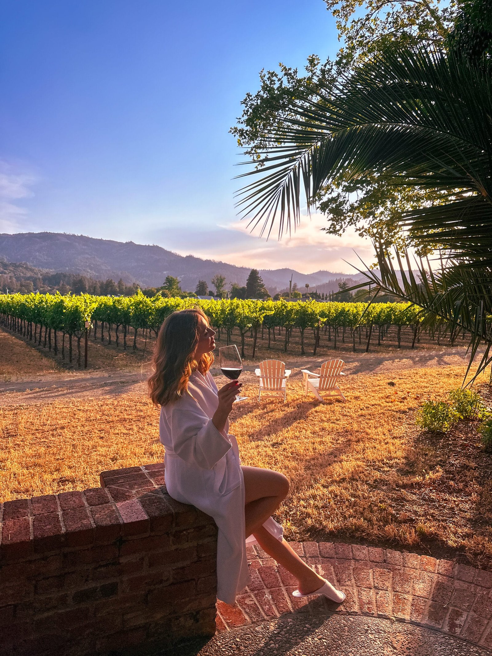 Great Reasons to Visit Napa Valley